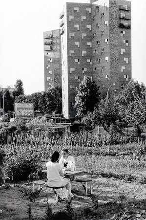 Un jardin pour soi