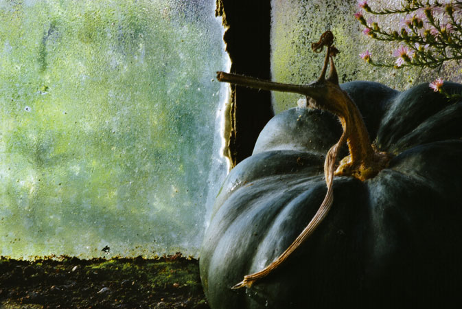 Jardins paysages