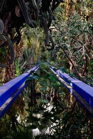 Majorelle