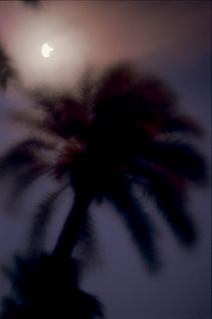 Majorelle