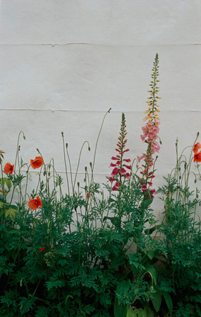 Jardins de la mode