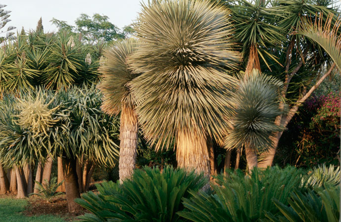 Jardins de la mode