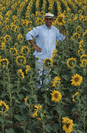 Jardins de la mode