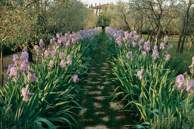 Jardins de la mode