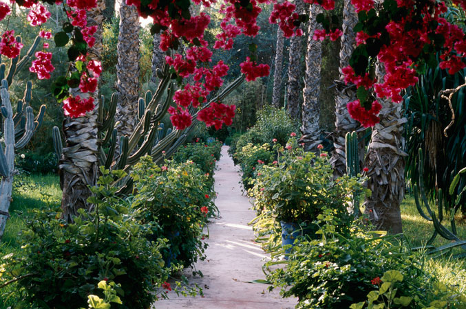 Jardins de la mode