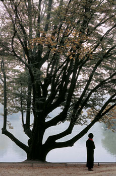 Paris Jardins