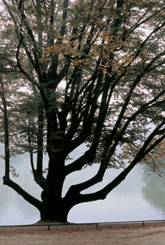 Paris Jardins