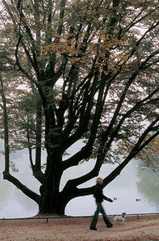 Paris Jardins