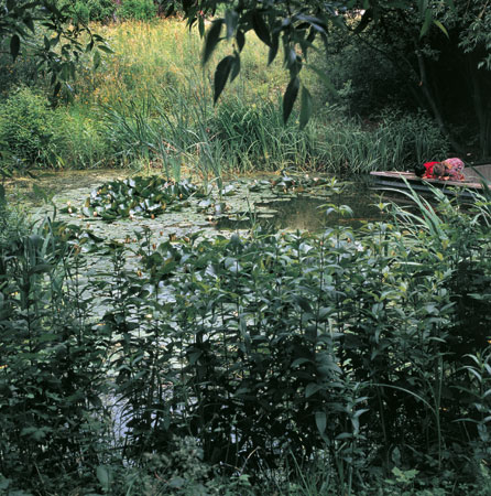 Paris Jardins