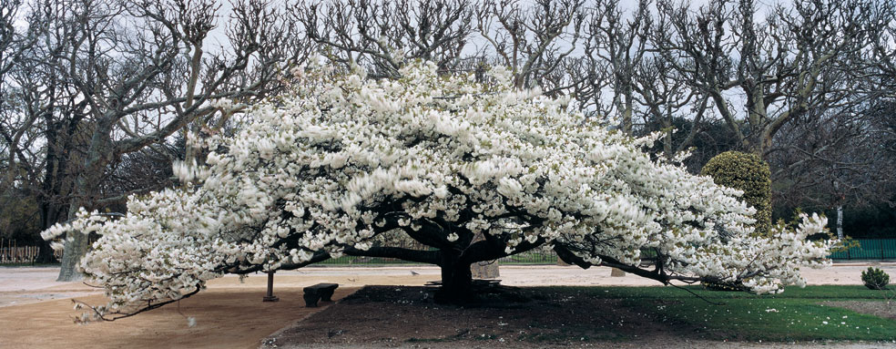 Paris Jardins