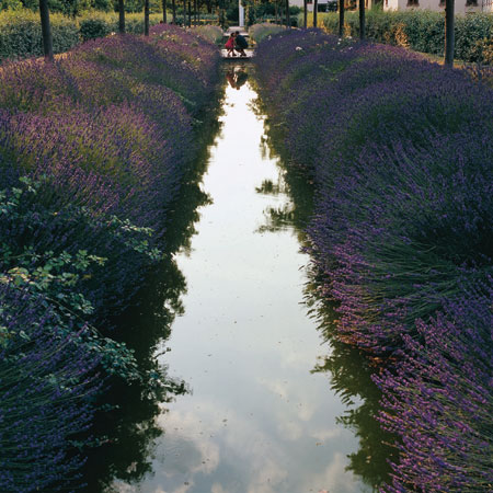 Paris Jardins